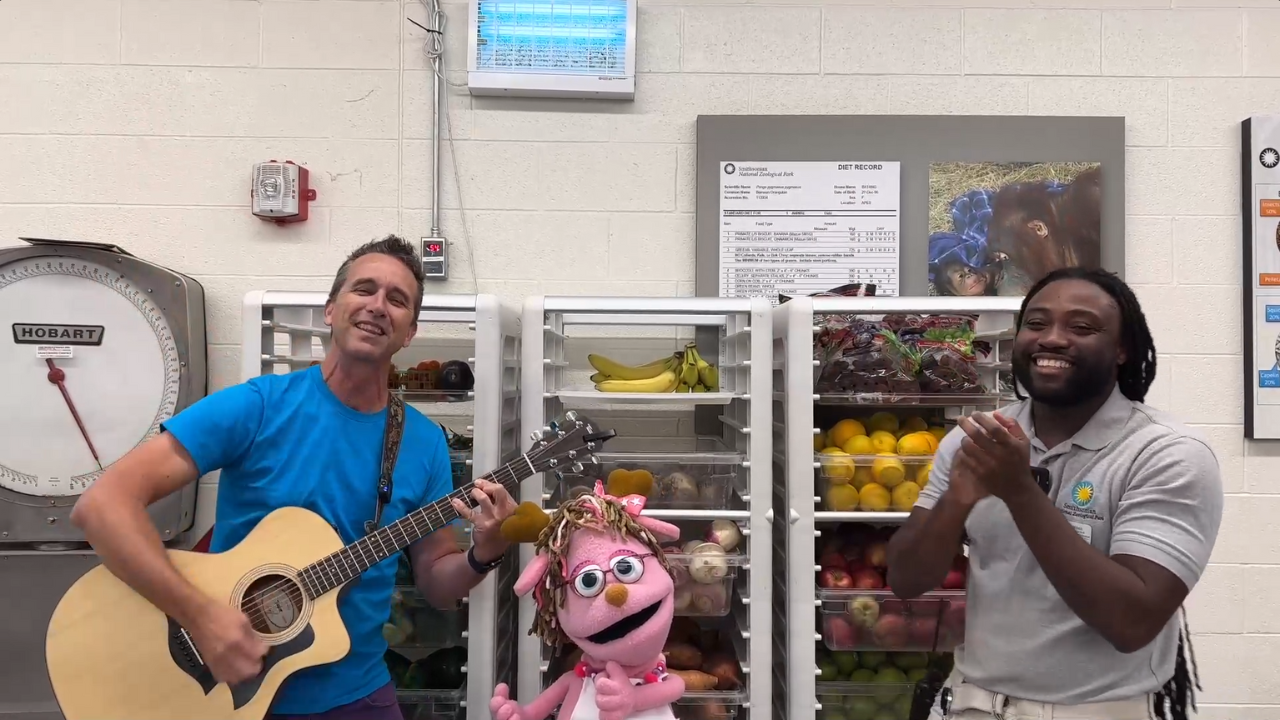 Three figured stand side by side as they smile at the camera. The figure to the left wears a blue shirt and holds a guitar. The middle figure is a pink puppet made to look like a jackalope. The figure on the right claps their hands with enthusiasm.
