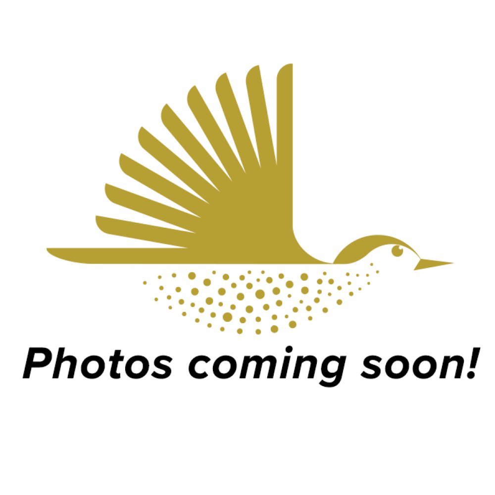 a graphic depiction of a bird in flight with the text "Photos coming soon!" beneath it