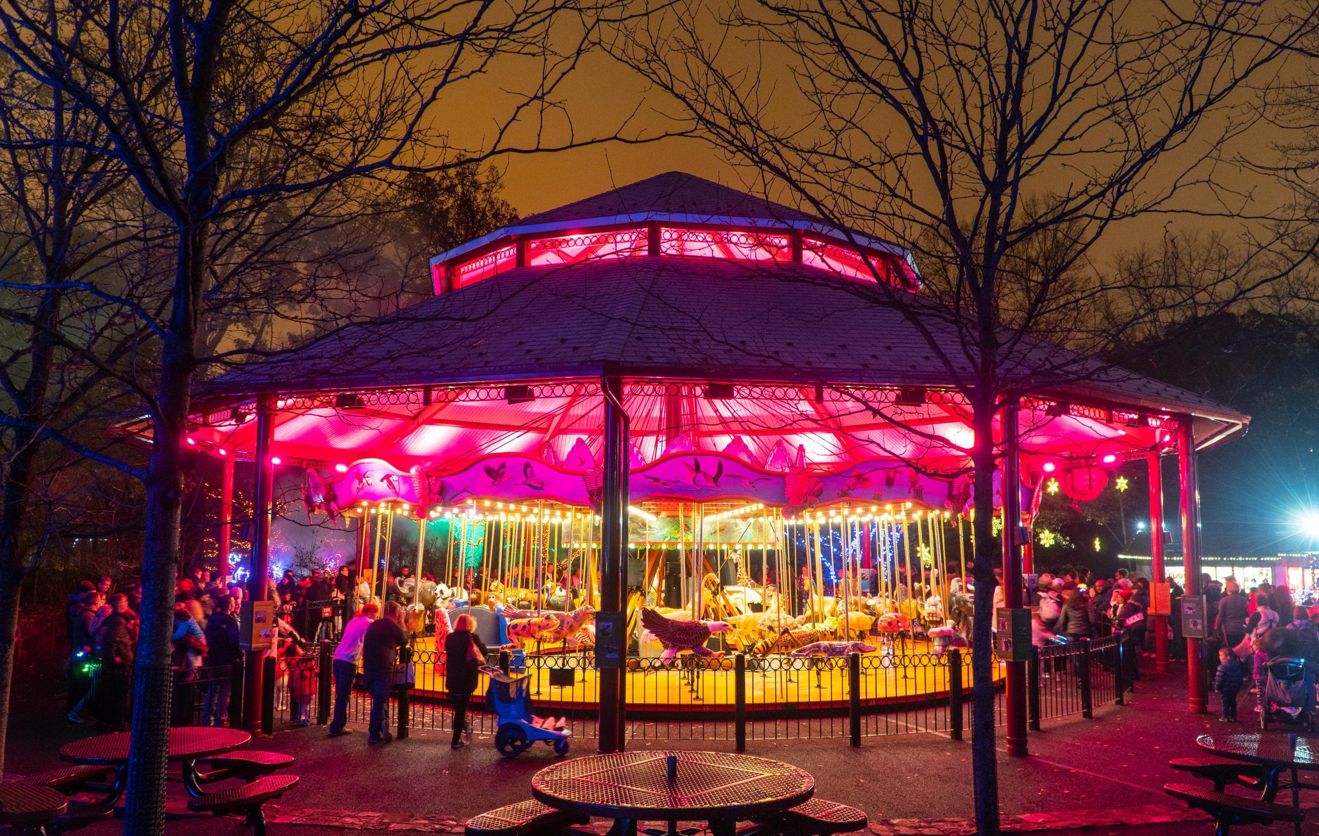 Carousel at the Zoo lit up with glowing holiday string lights.