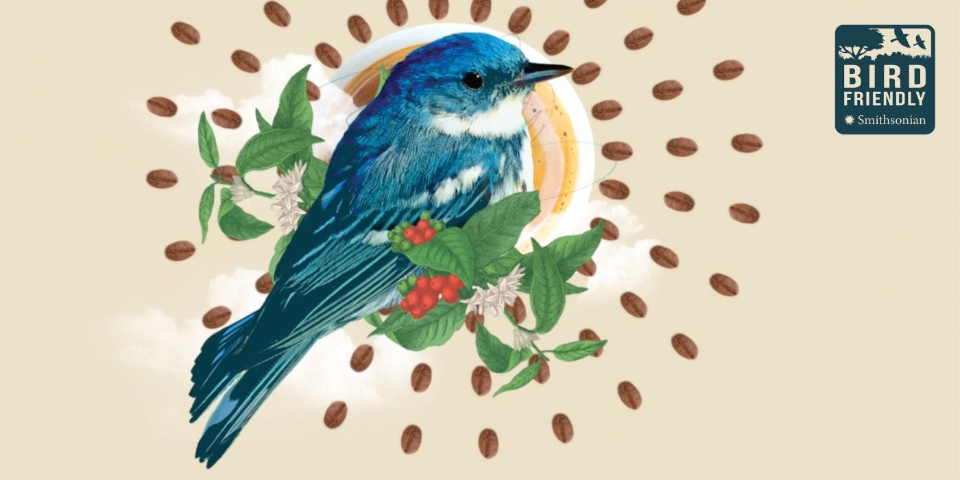 A stylized graphic of a blue bird perched on the branch of a coffee plant. A mug of coffee is behind the bird, and roasted coffee beans are arranged in a circular, sunburst pattern around the bird. The Bird Friendly logo is in the top right corner.