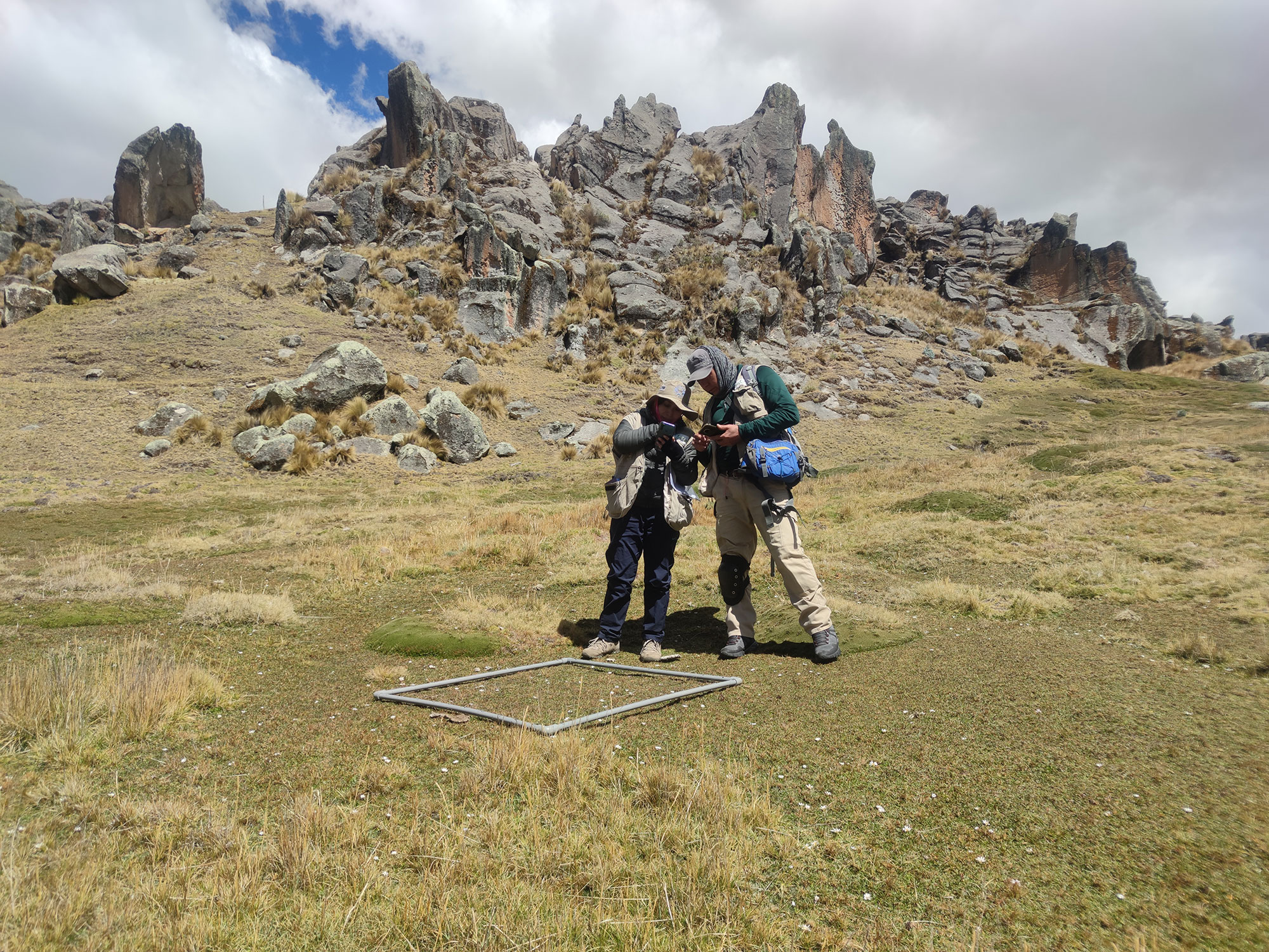 Researchers measuring wetlands bofedales) at 13,000ft of altitude in Souther Peru.