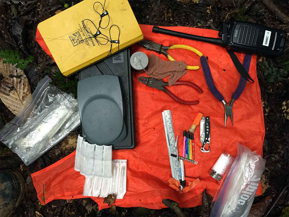 A variety of equipment used to band birds for research