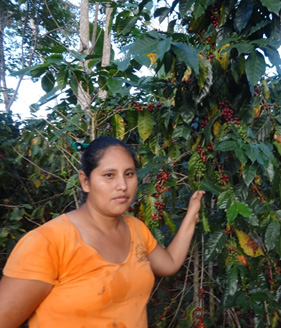 Noemi showing her coffee in production in the Bird Friendly certified coffee