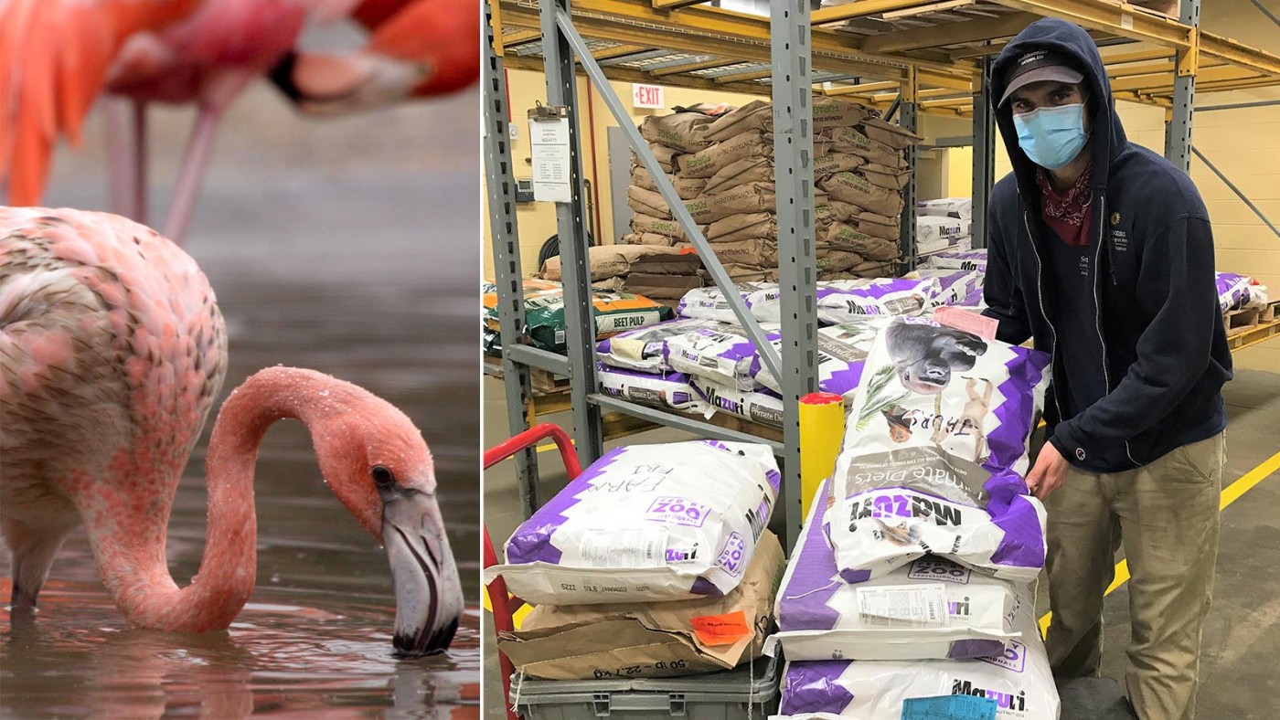 Commissary keeper Nick Schiraldi loads a cart full of pelleted feed to be delivered to the animals.