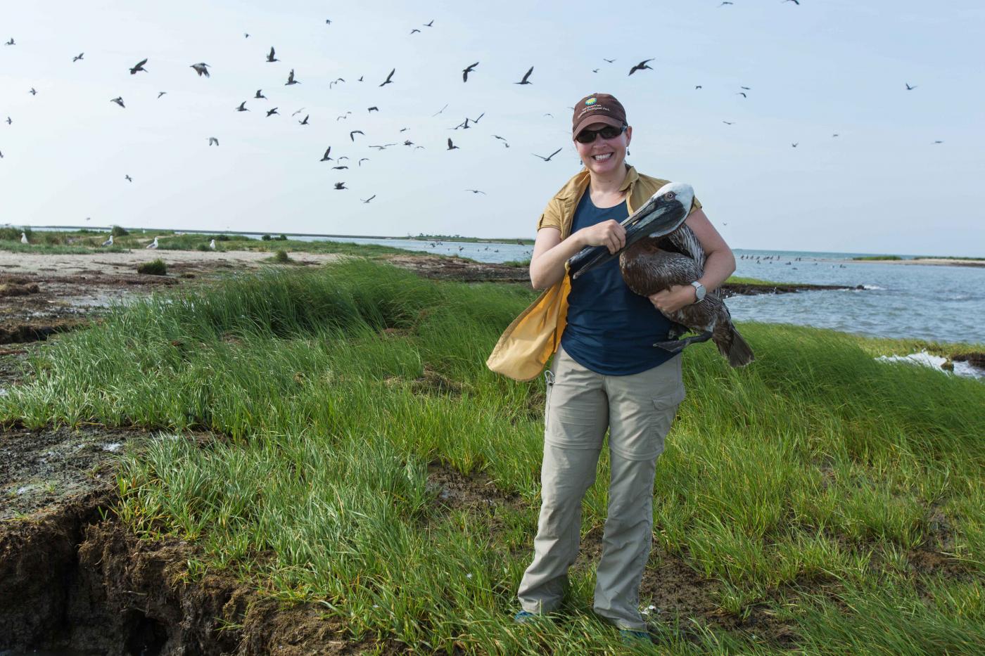 Smithsonian Migratory Bird Center scientist Autumn-Lynn Harrison with a pelican. 