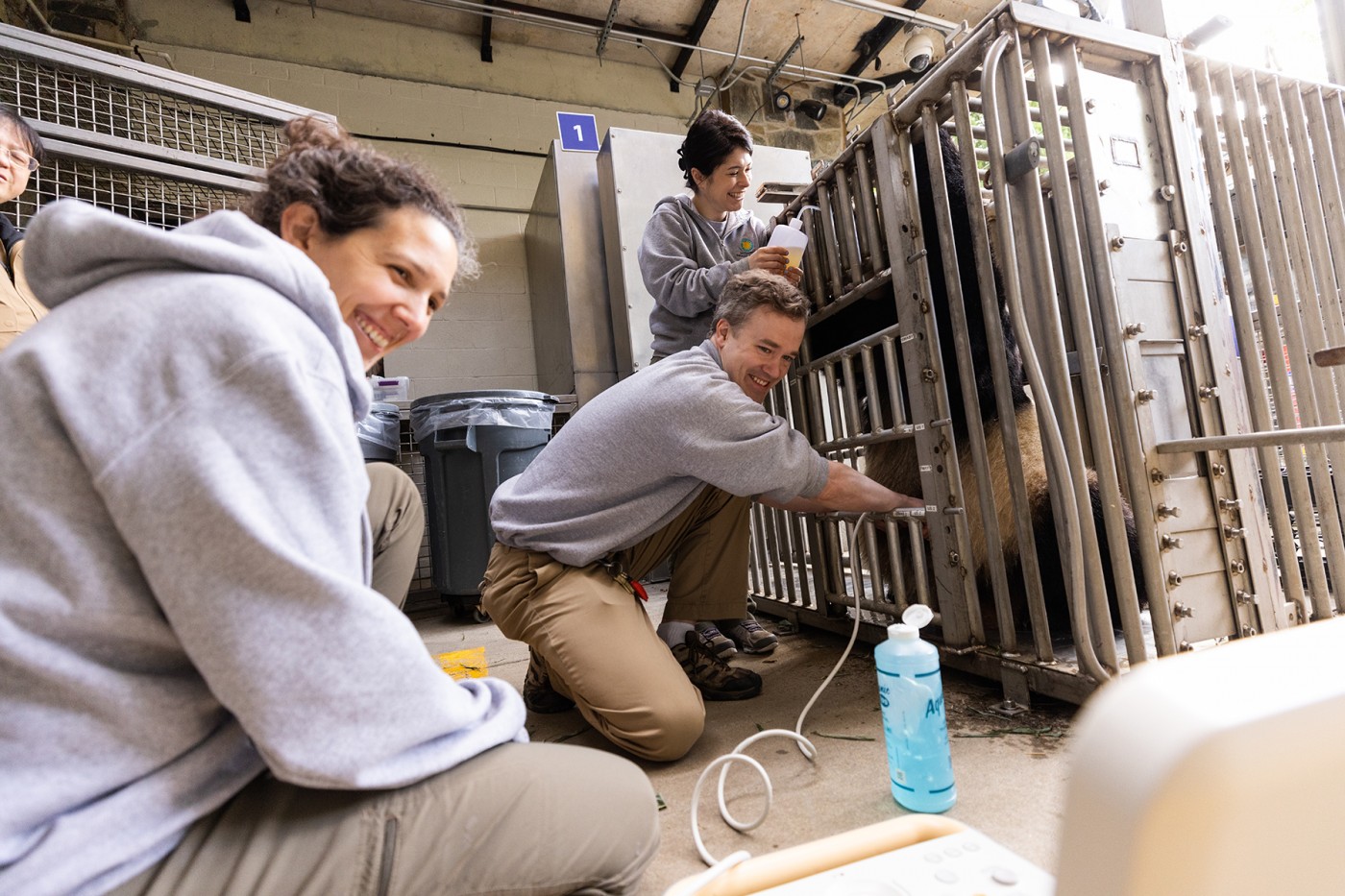 May 4, 2023 | Zoo veterinarians perform an abdominal ultrasound on giant panda Mei Xiang while a keeper rewards her with honey-flavored water.