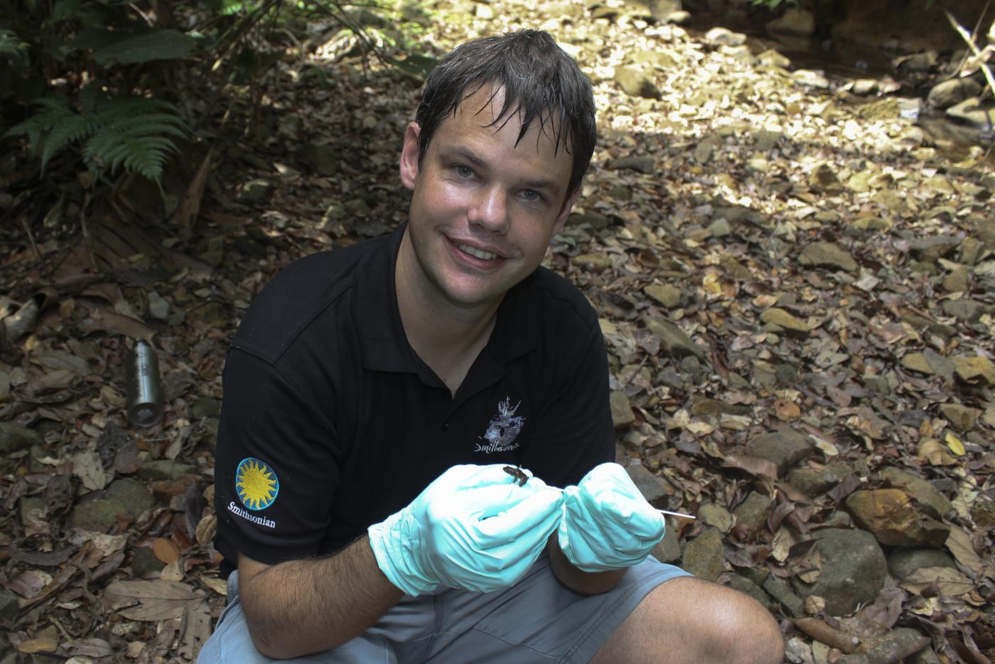 Brian Gratwicke swabs frogs in the field.