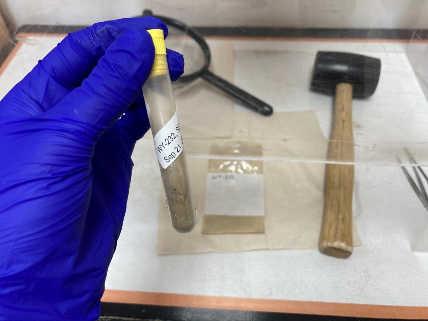 Photo of a gloved hand holding up a test tube containing crushed swift fox poop.