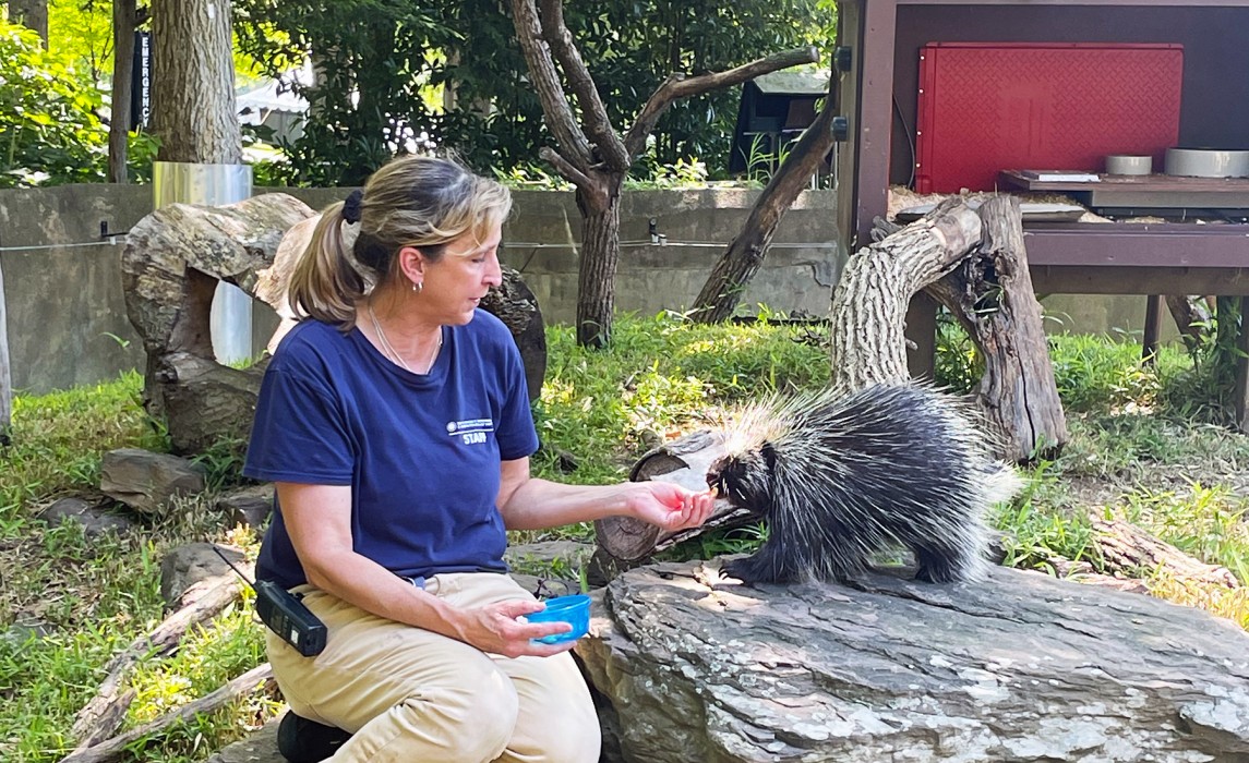 Dell Guglielmo with North American porcupine Jeffrey