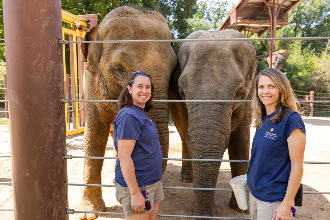 Keepers Rebecca Riley and Megan Boyd with elephants Trong Nhi and Nhi Linh.. 