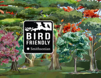 Smithsonian Bird Friendly