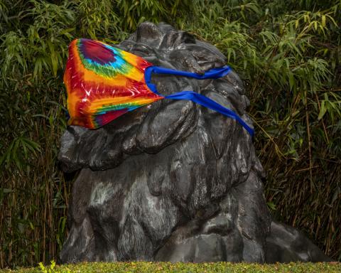 Lion statue at Zoo's entrance wearing a tie dye print face mask. Lion statue wearing face mask.