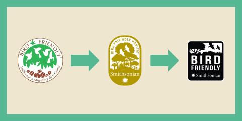Three versions of the Bird Friendly Coffee logo arranged from oldest on the left to newest on the right with arrows pointing from left to right
