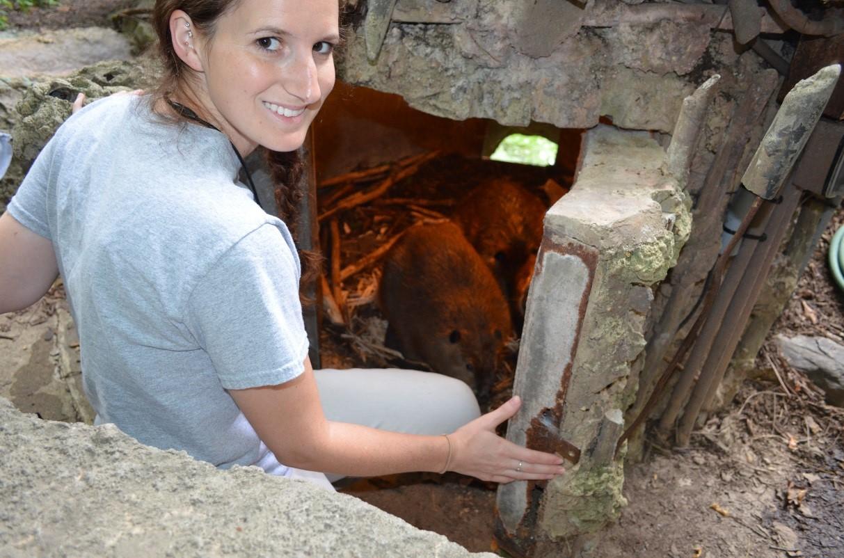 American Trail Keeper with Beavers