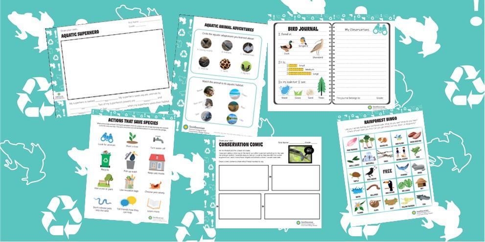 Examples of activity sheets on a blue background