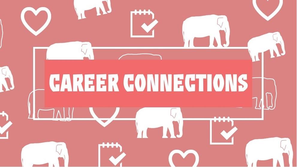 Career Connections title on a pink background