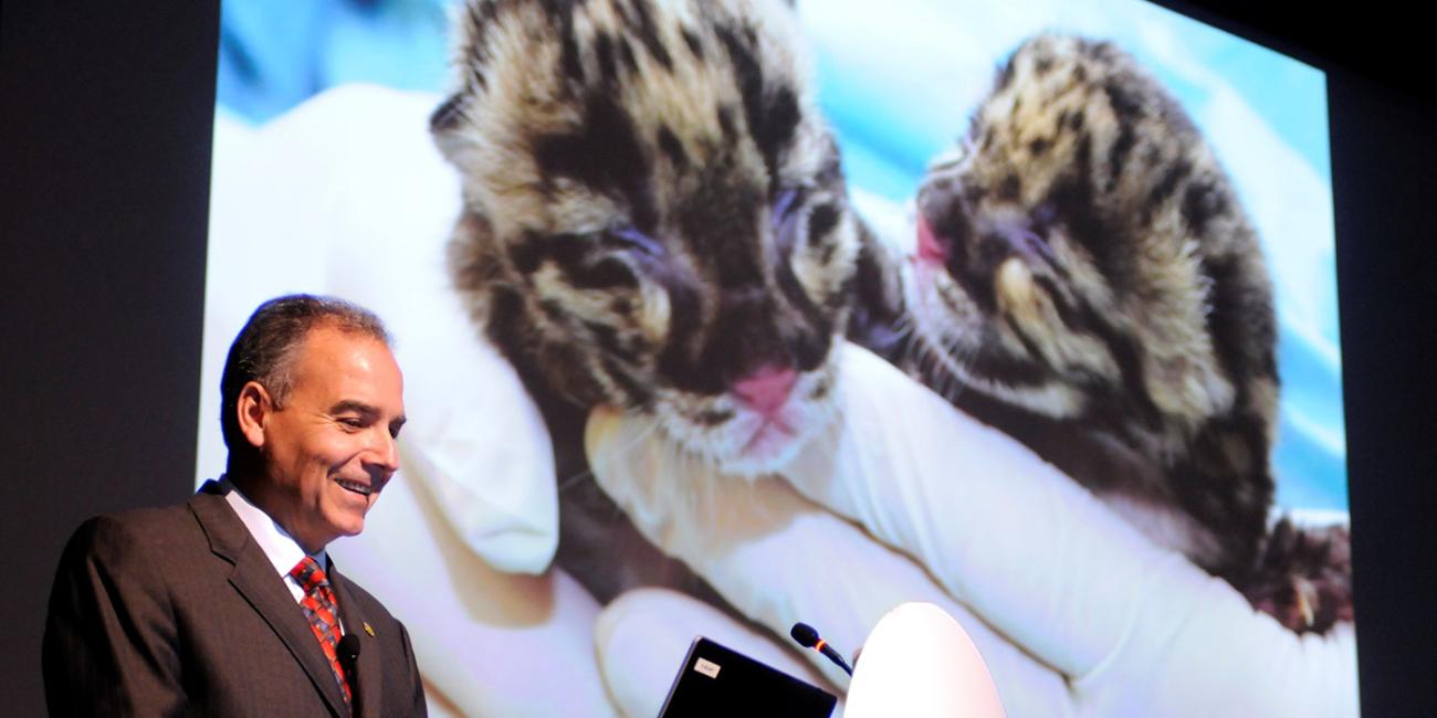 Dallmeier presenting slides of clouded leopard cubs