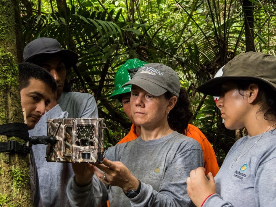 A group of researchers in the Peruvian Amazon set up a camera trap attached to a tree to capture images of animals that pass by