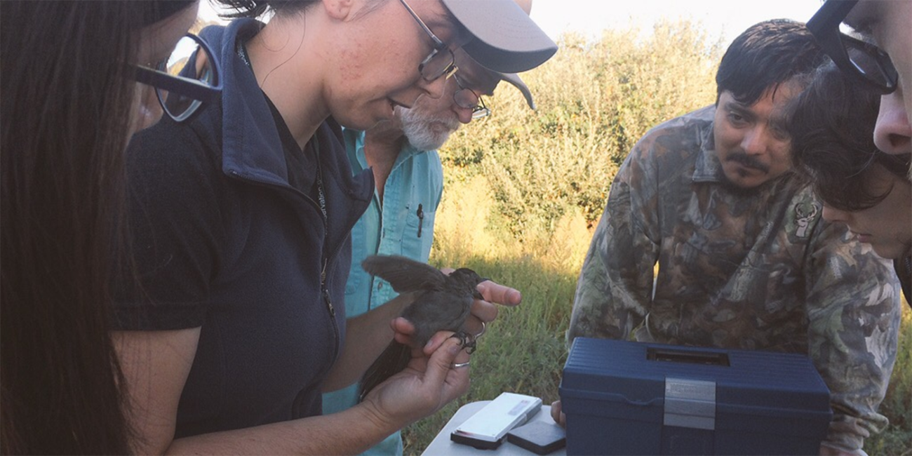 a woman holds a bird in her hand as others look on