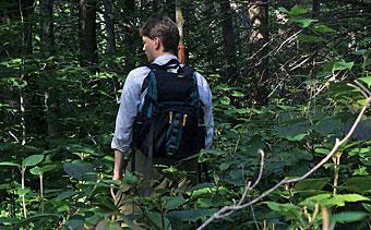 man in forest