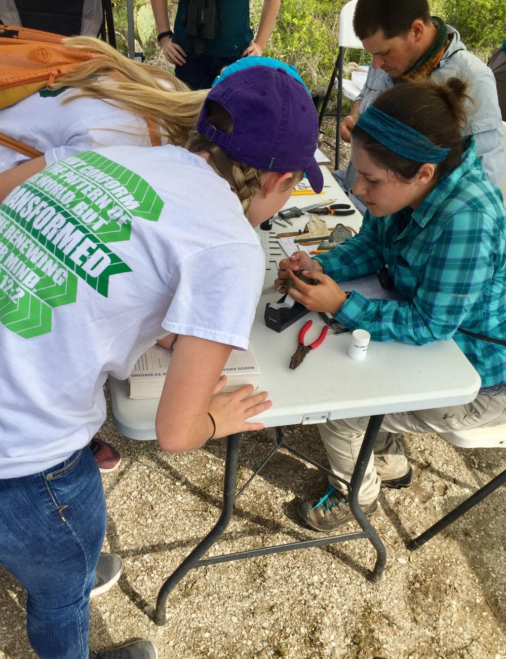 Students watch a bird-banding demonstration