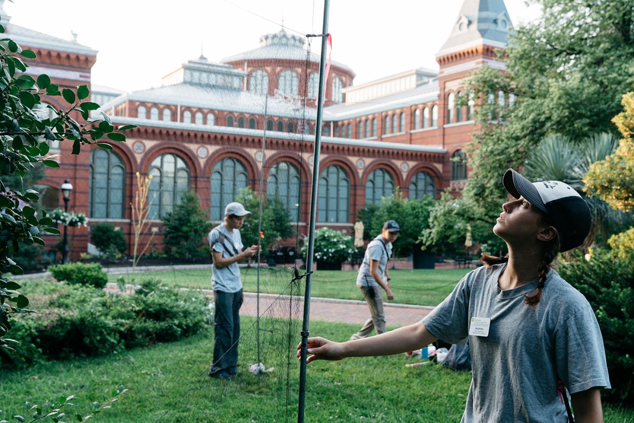 Researchers set up a net in front of a brick building near Washington, D.C.'s National Mall