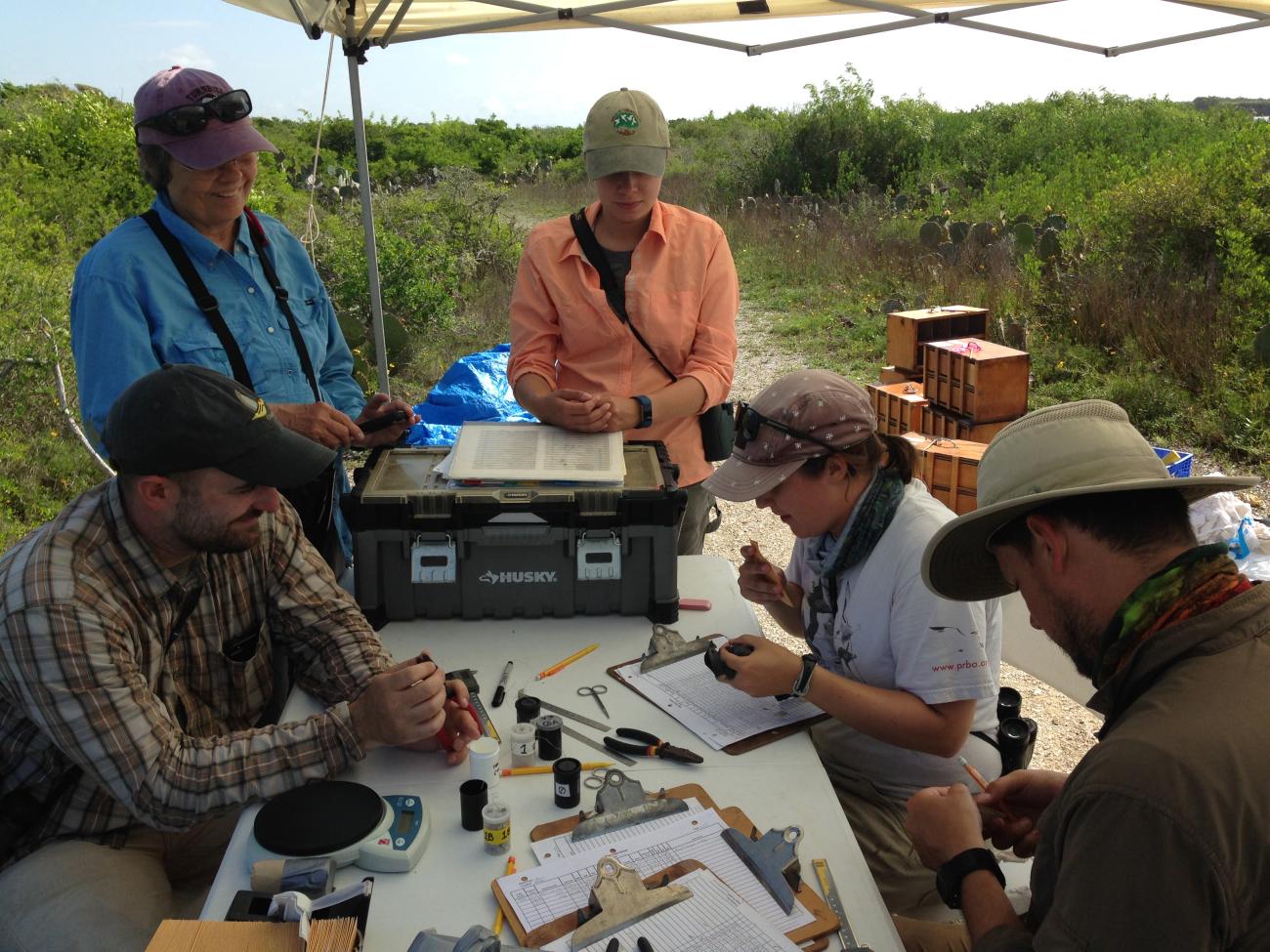 A group of scientists sits around a table in the field making notes on clipboards