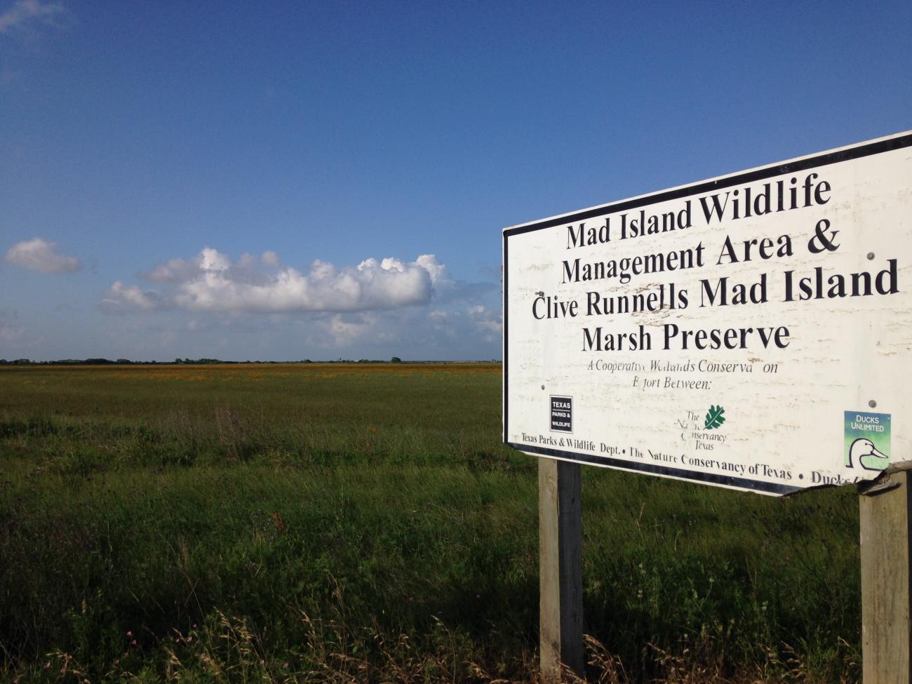 Clive Runnells Mad Island Marsh Preserve, Matagorda County, TX