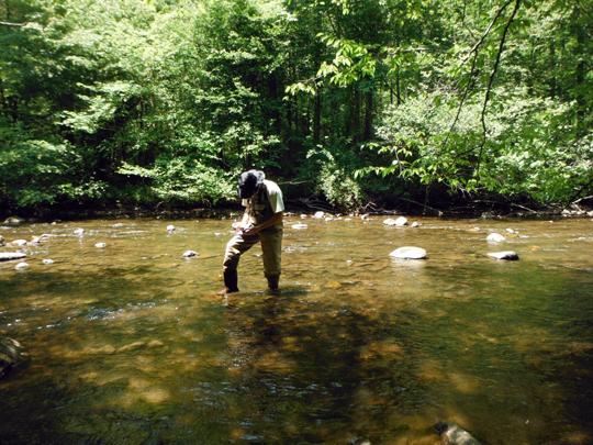 Taking notes in a stream. Photo courtesy of Jeff Storey