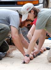 measuring a snake