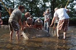 Lifting a rock for a hellbender. From left to right, Michelle Leasure, Pat Roberts, Brian Neal, Eric Chapman, Paul Hicks, and two volunteers. Photo courtesy of Brian Gratwicke.