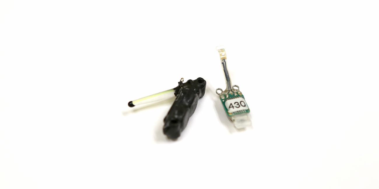 Two pieces of a tracking device with small antennas called light-level geolocators