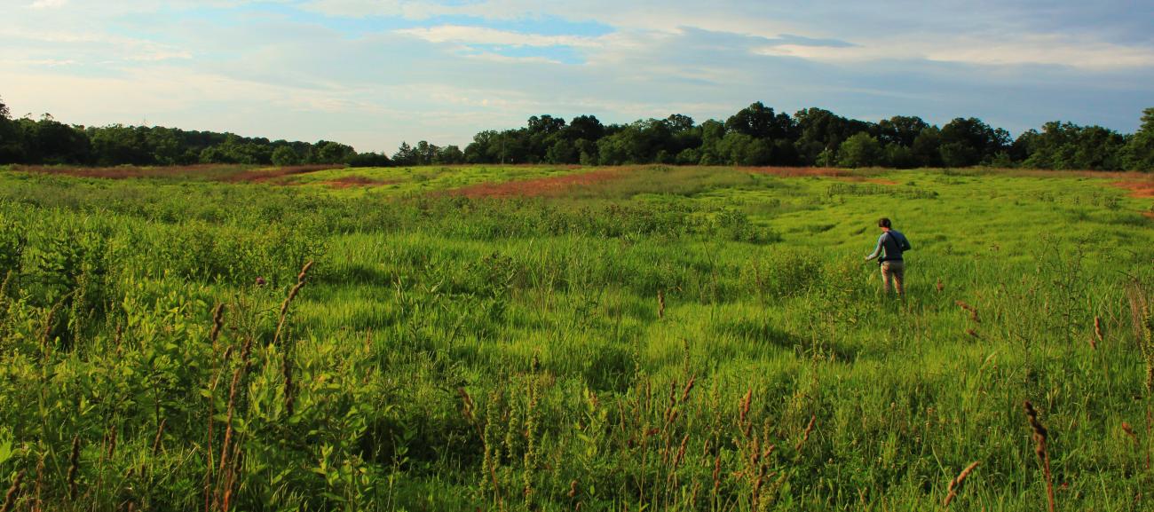 Virginia Working Landscape