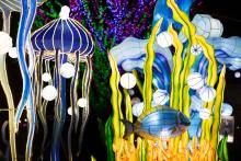 An ocean lantern display at the 2023 Zoo Lights event at the Smithsonian's National Zoo.