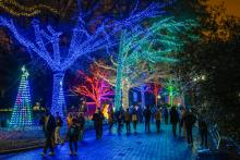 Visitors at the 2023 Zoo Lights event at the Smithsonian's National Zoo.