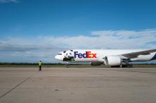 Giant pandas Bao Li and Qing Bao, inside the FedEx Panda Express, arrive at Dulles International Airport Oct. 15, 2024.