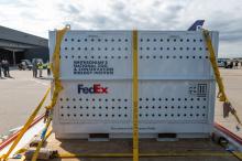 Giant panda Bao Li arrives at Dulles International Airport Oct. 15, 2024.