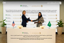 On May 14, 2025, NZCBI Director Brandie Smith and Royal Commission for AlUla CEO Abeer AlAkel sign an agreement involving the international conservation and loan of critically endangered Arabian leopards from Saudi Arabia.