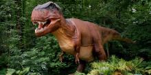 This summer, visitors to the Smithsonian's National Zoo will be able to look up and listen as the roar of a 39-foot-long T. rex joins the symphony of Zoo animal chirps, squawks and chuffs. On exhibit will also be compsognathus, dilophosaurus, parasaurolophus and babies, stegosaurus and baby, and quetzalcoatlus and babies. A large animatronic T-rex dinosaur standing in a forested area