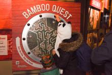 An adult and child play the Bamboo Quest maze game inside the Panda House during the Smithsonian's National Zoo's Giant Panda Housewarming Celebration