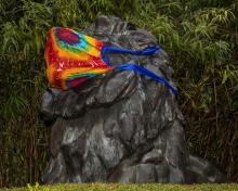 Lion statues at the Zoo's entrance are sporting tie-dyed face coverings. Lion statue at Zoo's entrance with face covering.