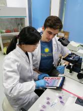 Giant pandas bring colleagues from the Smithsonian’s National Zoo and Conservation Biology Institute and China together for a common goal: advancing global scientific knowledge of the species. Comprehensive workshops and hands-on training courses in medicine, surgery, anesthesia, imaging and field healthcare enable scientists to share expertise and build skills. Two scientists sit together at a desk with a microscope and other equipment and review data on a digital tablet