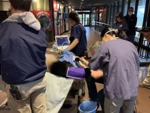 A team of reproductive scientists work to artificially inseminate giant panda Mei Xiang. A team of reproductive scientists work to artificially inseminate giant panda Mei Xiang.