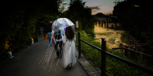 Festive animal-inspired costumes are a highlight of Boo at the Zoo. Jellyfish costumed Boo at the Zoo attendee walking by the Zoo's Elephant exhibit.