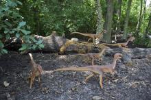 This summer, visitors to the Smithsonian's National Zoo will be able to look up and listen as the roar of a 39-foot-long T. rex joins the symphony of Zoo animal chirps, squawks and chuffs. On exhibit will also be compsognathus, dilophosaurus, parasaurolophus and babies, stegosaurus and baby, and quetzalcoatlus and babies. A group of small, animatronic dinosaurs in a wooded area
