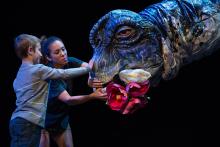 “Erth’s Dinosaur Zoo Live” takes audiences on a prehistoric journey into a new dimension where they get to meet a menagerie of insects and dinosaurs that roamed the planet millions of years ago. Featuring larger-than-life dinosaur puppets brought to life by sophisticated design and theatrical presentation and puppet mastery, these amazingly life-like dinosaur recreations connect children to paleontology. Photo: C. Waits During an "Erth's dinos zoo live" performance, a cast member and child put flowers in the mouth of a larger-than-life dinosaur puppet