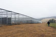 A researcher at the Smithsonian Conservation Biology Institute in Front Royal, Virginia, walks by the new whooping crane facility