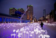 Entre Les Rangs / City field, a creation by Kanva Architecture, Quartier des Spectacles, Montreal.