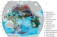 A map of the routes migratory species take through the high-seas of the Pacific Ocean. Map of routes of species that migrate through the high-seas of the Pacific Ocean.