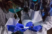 Scientists from the Global Health Program taking samples from a wrinkle-lipped bat in Myanmar. Scientists with Smithsonian's Global Health Program sampling a wrinkle-lipped bat in Myanmar.